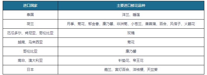 鲜花行业不断涌现出新的趋势和变化 可持续化和创意设计是行业发展的源头活水(图7)