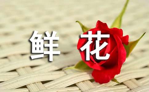 鲜花的含义及送花技巧(图1)