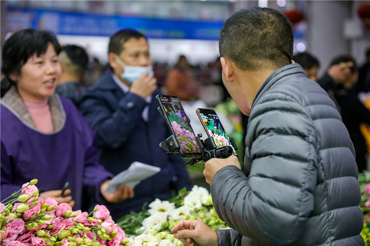 jn江南体育云南：鲜花“乘”火车花香飘四海江南体育app下载(图6)