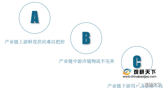 2021年中国鲜花电商市场分析报告-行业竞争现状与前景评估预测(图4)