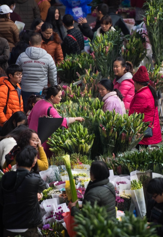 云南大批鲜花上市 花卉市场迎交易高峰(图3)