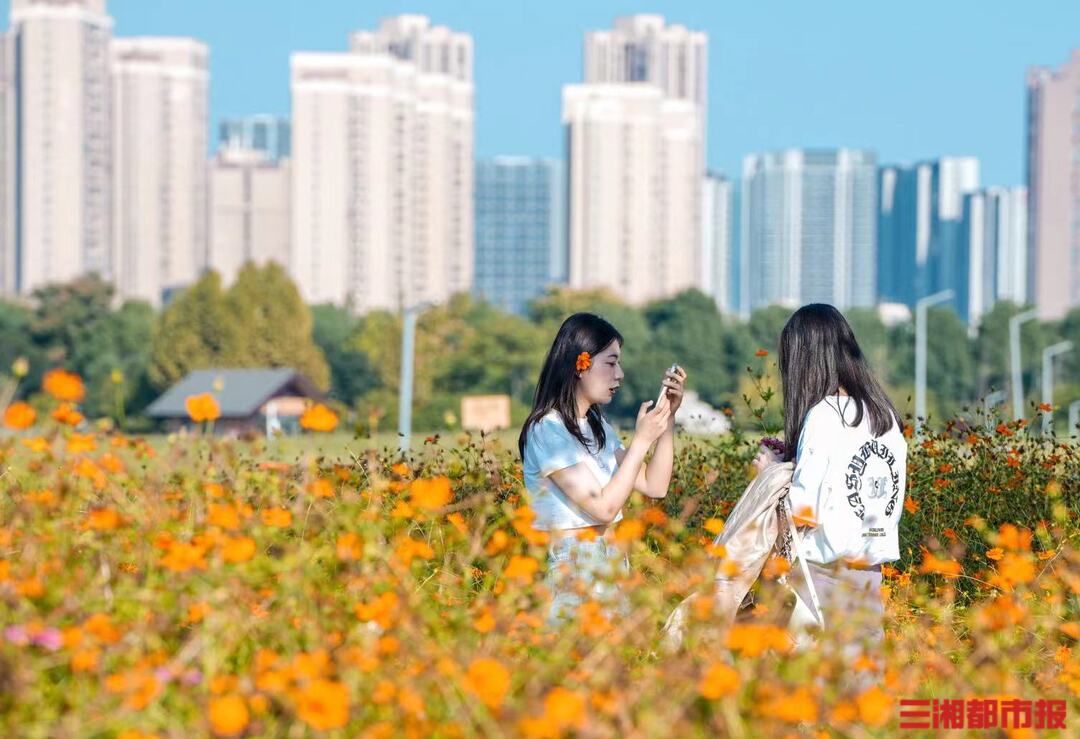 秋日浪漫何处寻？去这些鲜花盛开的地方打卡吧(图1)