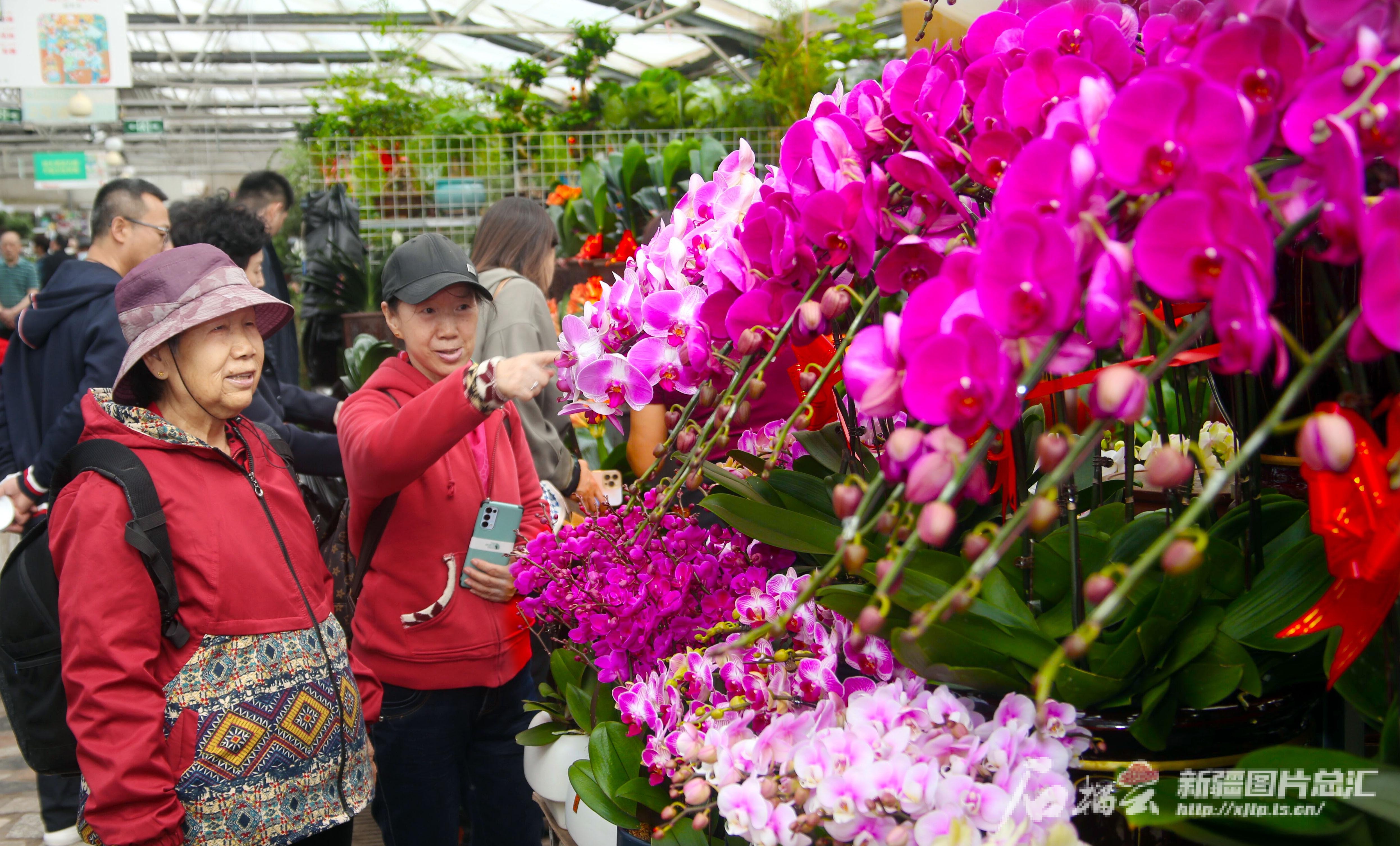 jn江南体育花卉市场“春意浓”！乌鲁木齐各类鲜花、果蔬苗走俏“春天里”(图4)