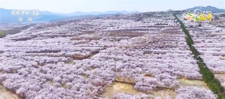 春暖花开好时节 “美丽经济”盎然春意中焕发勃勃生机(图4)