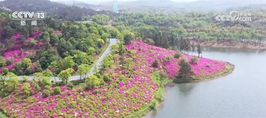 春暖花开好时节 “美丽经济”盎然春意中焕发勃勃生机(图6)