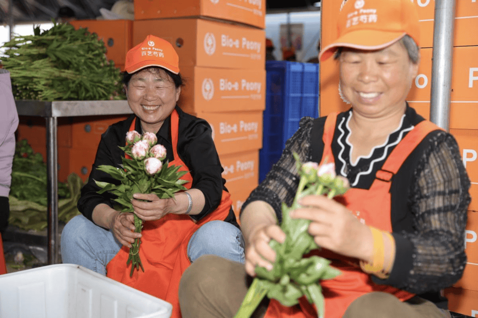 像做时尚一样做鲜花盒马3年推10多款芍药新品(图2)